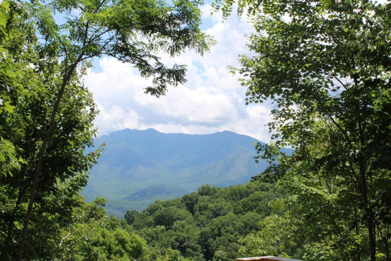 Hummingbird Villa Gatlinburg Bagian luar foto